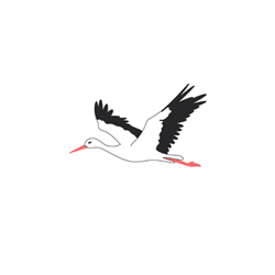 cigogne